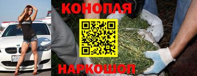 индика Кимры