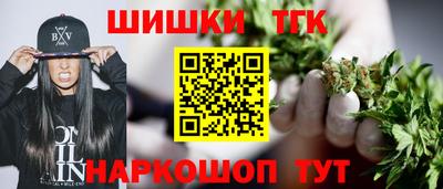 амф Кингисепп