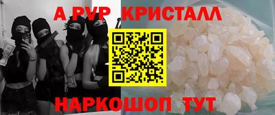 амф Кингисепп