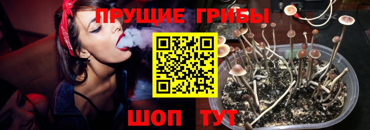Галлюциногенные грибы GOLDEN TEACHER  Вход с VPN  Карталы 
